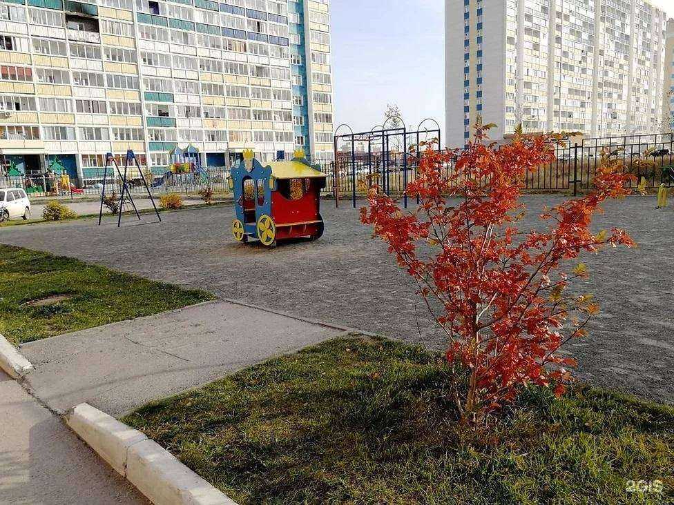 Отзывы на компанию Подсолнух в г. Новосибирск c фото