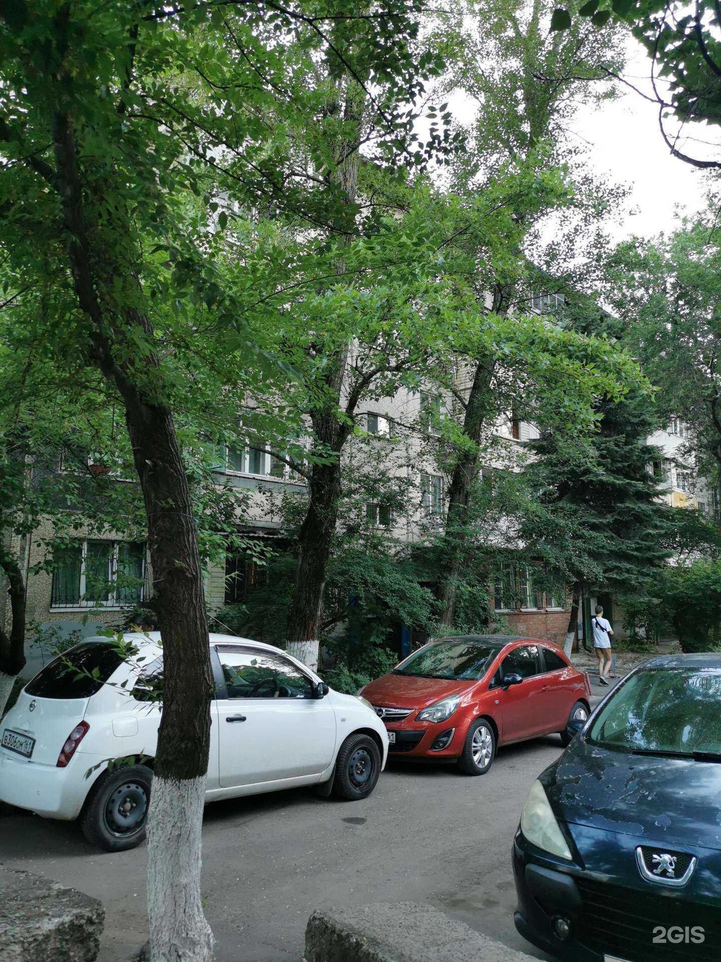 Отзывы на компанию Ms в Ростове-на-Дону c фото - фотография 2 из 2