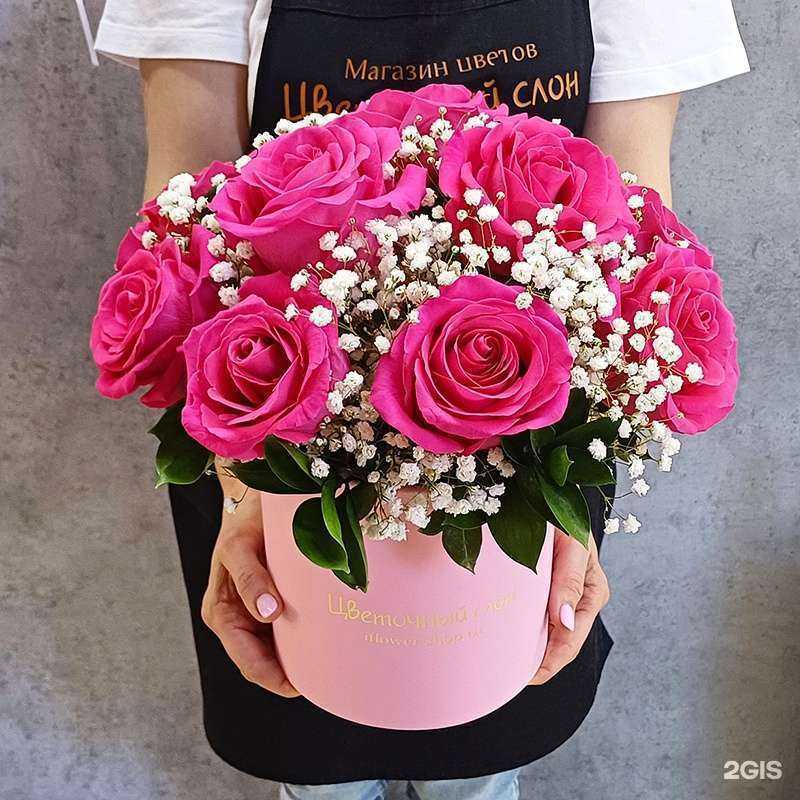 Отзывы на компанию Цветочный слон в г. Можайск c фото