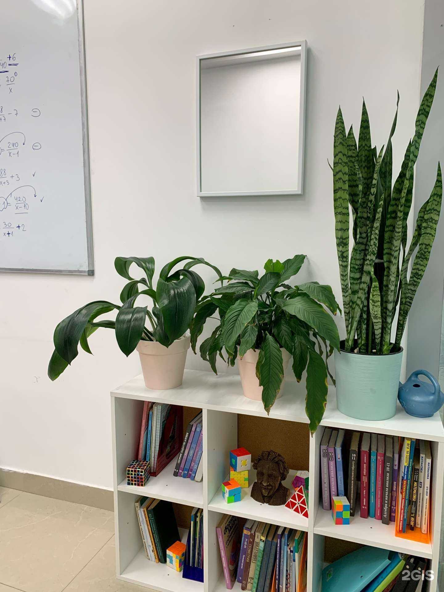 Отзывы на компанию Давай вместе в г. Иркутск c фото