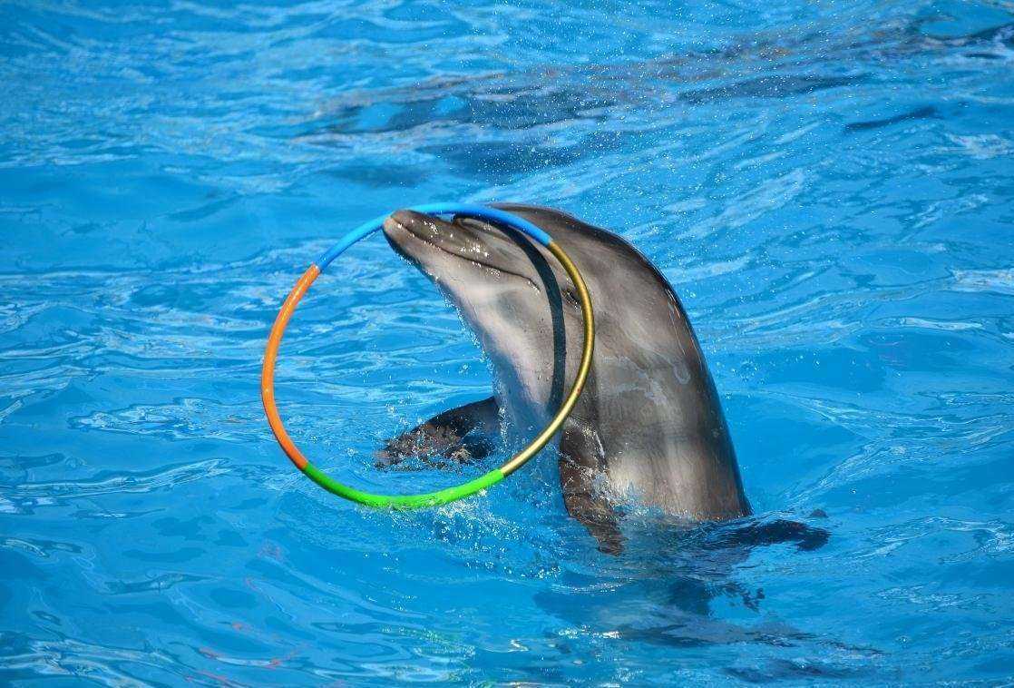 Отзывы на компанию exkursant.ru в г. Геленджик c фото