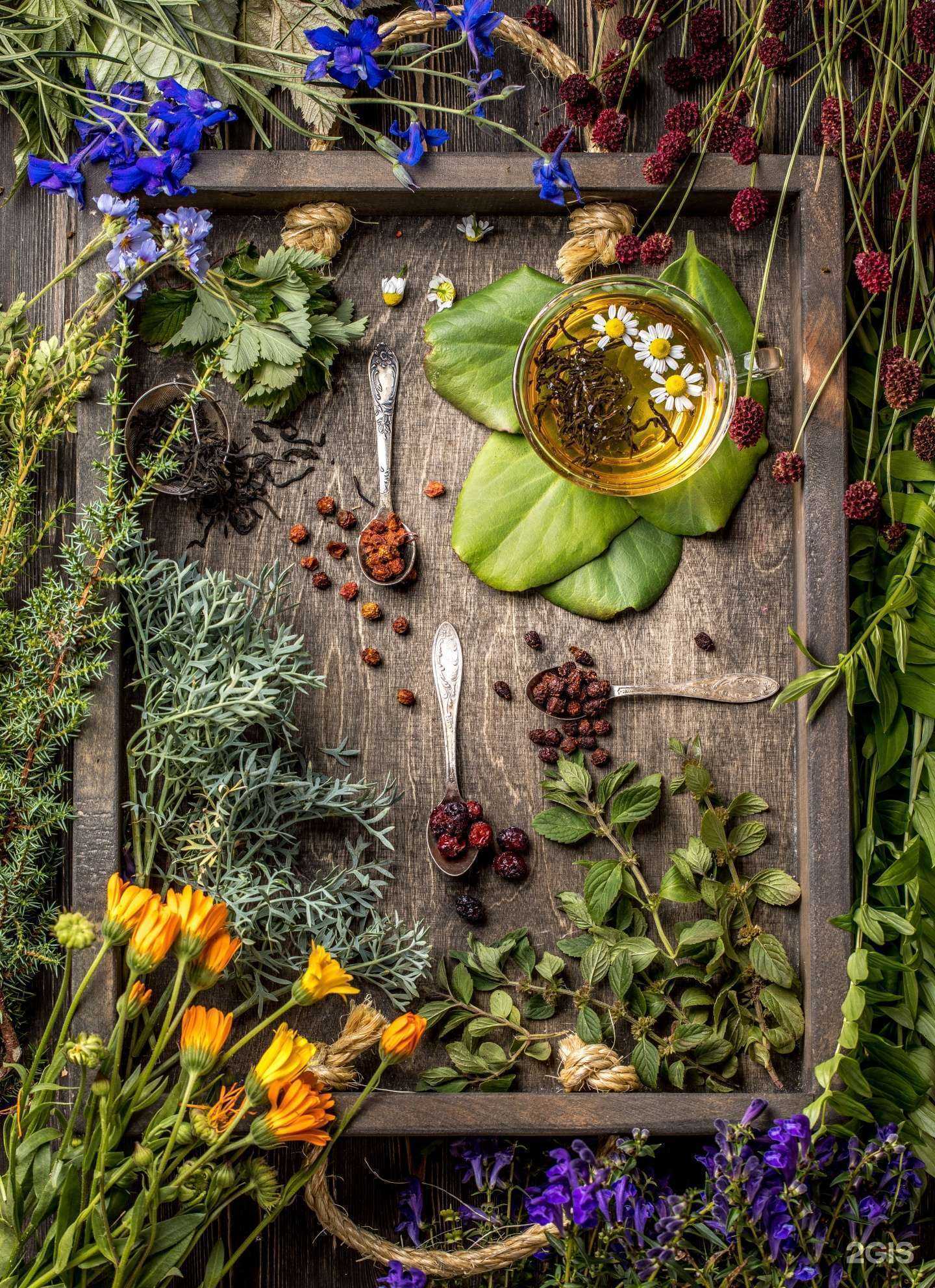 Отзывы на компанию СахаЧай в Якутске c фото