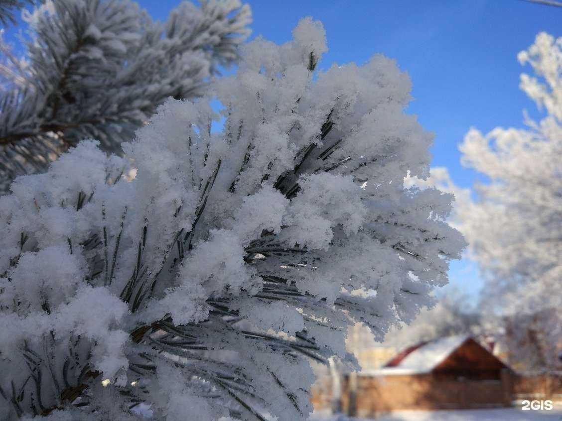 Отзывы на компанию Солнечный в Красноярске c фото