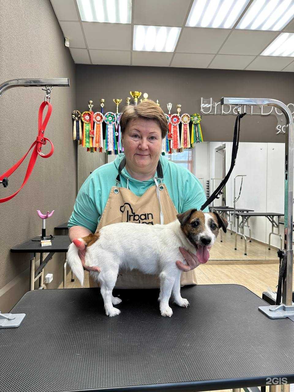 Отзывы на компанию Симона в Верхней Салде c фото