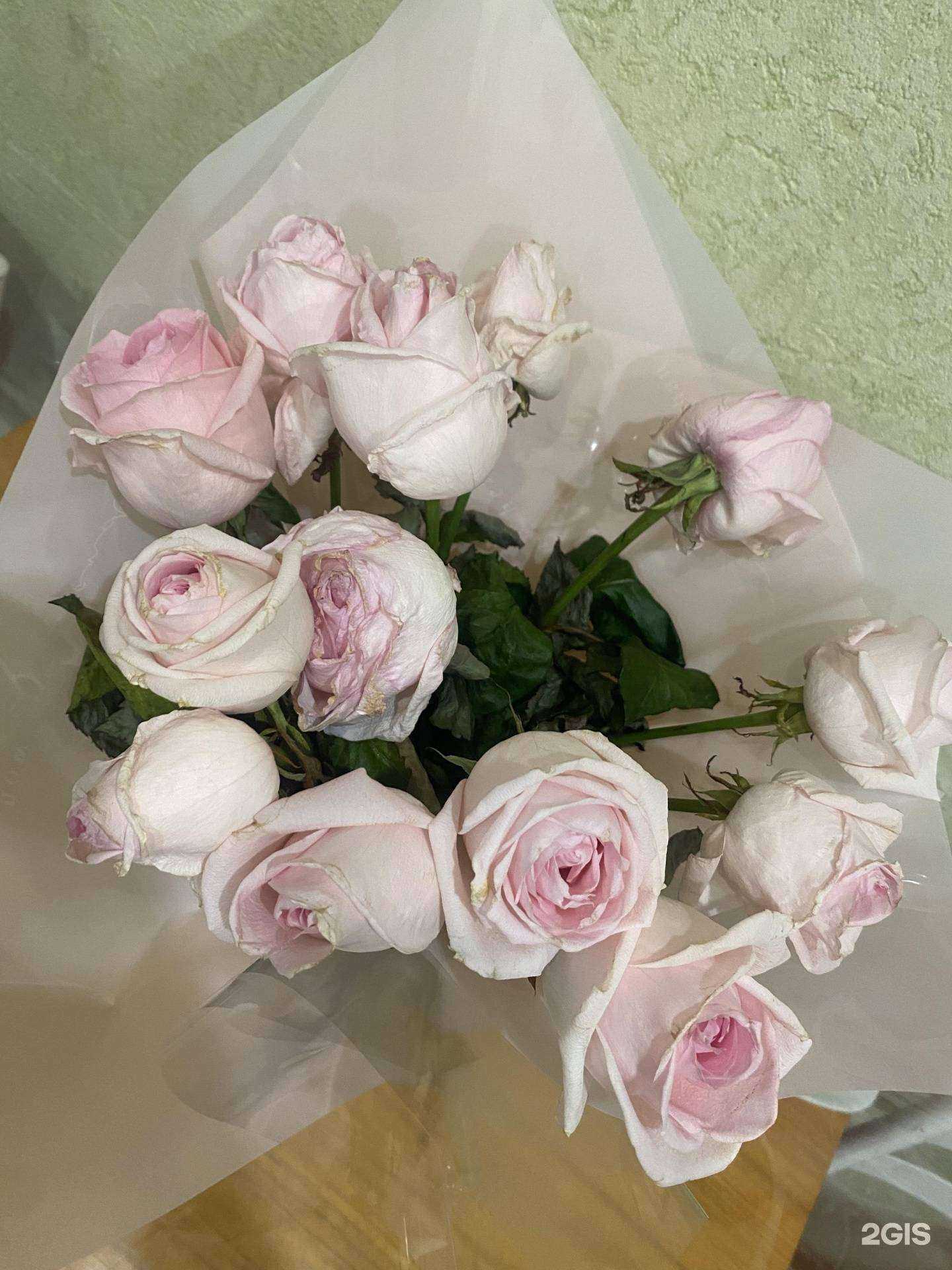 Отзывы на компанию Бордо в г. Красноярск c фото