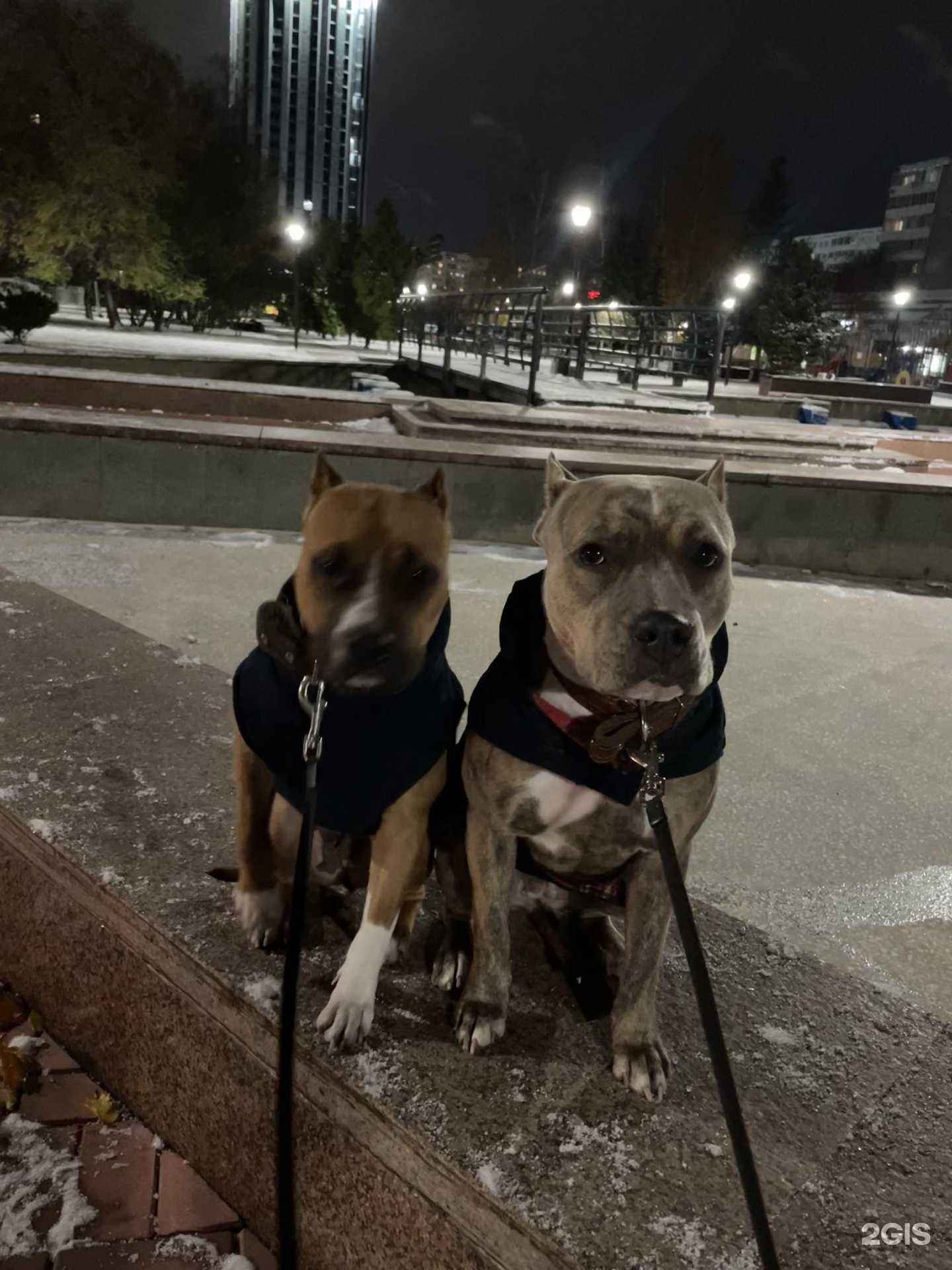 Отзывы на компанию Зоозавр в Набережных Челнах c фото