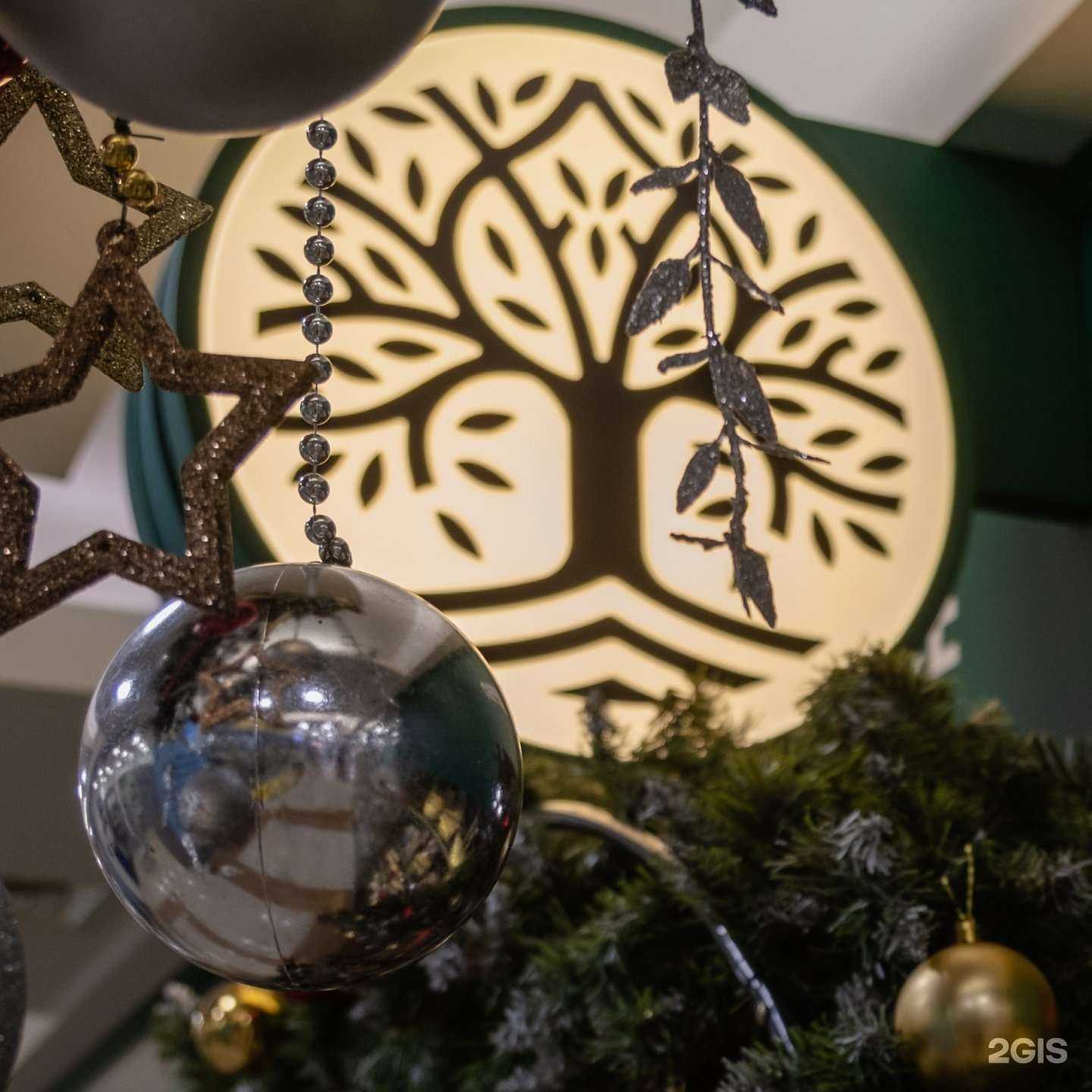 Отзывы на компанию Чайное дерево в г. Екатеринбург c фото