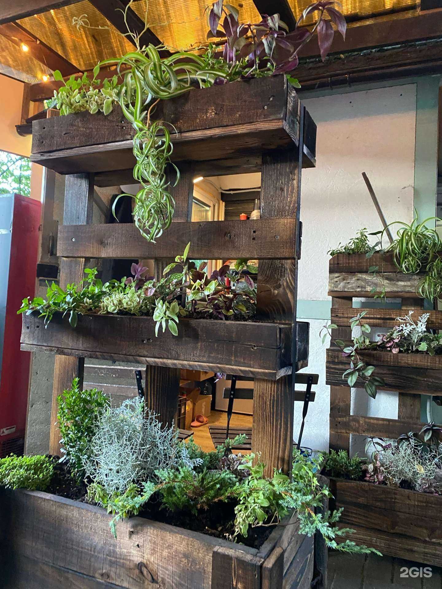 Отзывы на компанию Алиса в Калининграде c фото