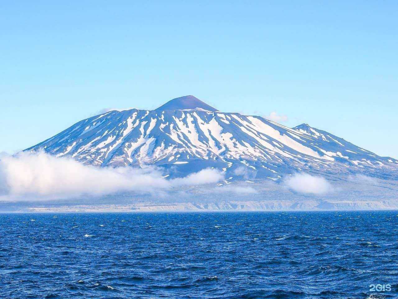 Отзывы на компанию Сайт Сервис в г. Южно-Сахалинск c фото