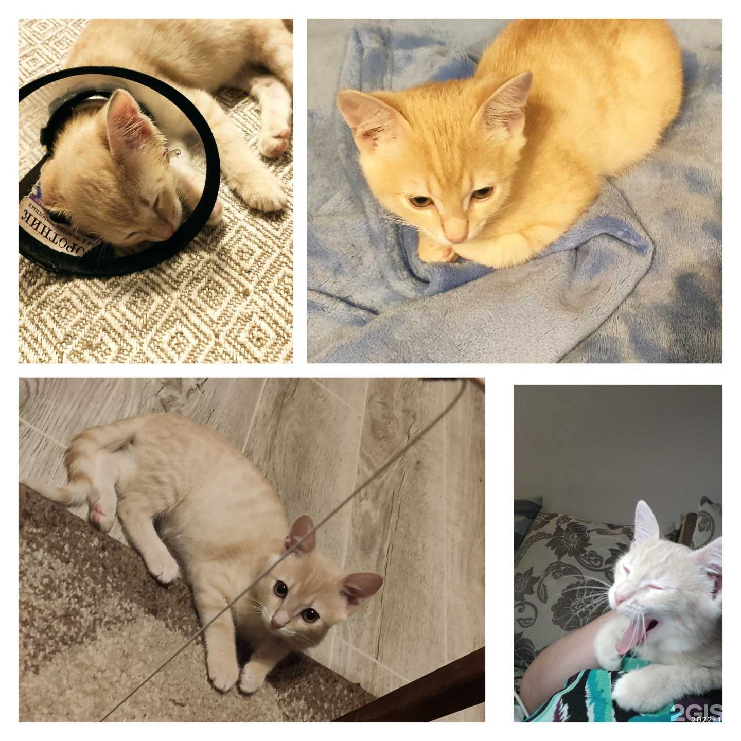 Отзывы на компанию Аляска в Перми c фото