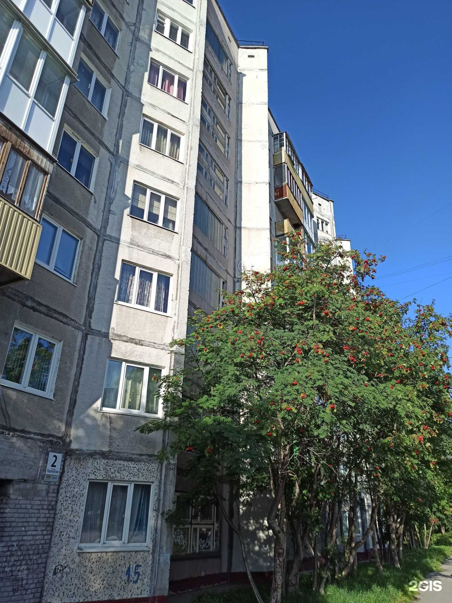 Отзывы на компанию Ветеринарный кабинет Анны Гавриловой в г. Апатиты c фото