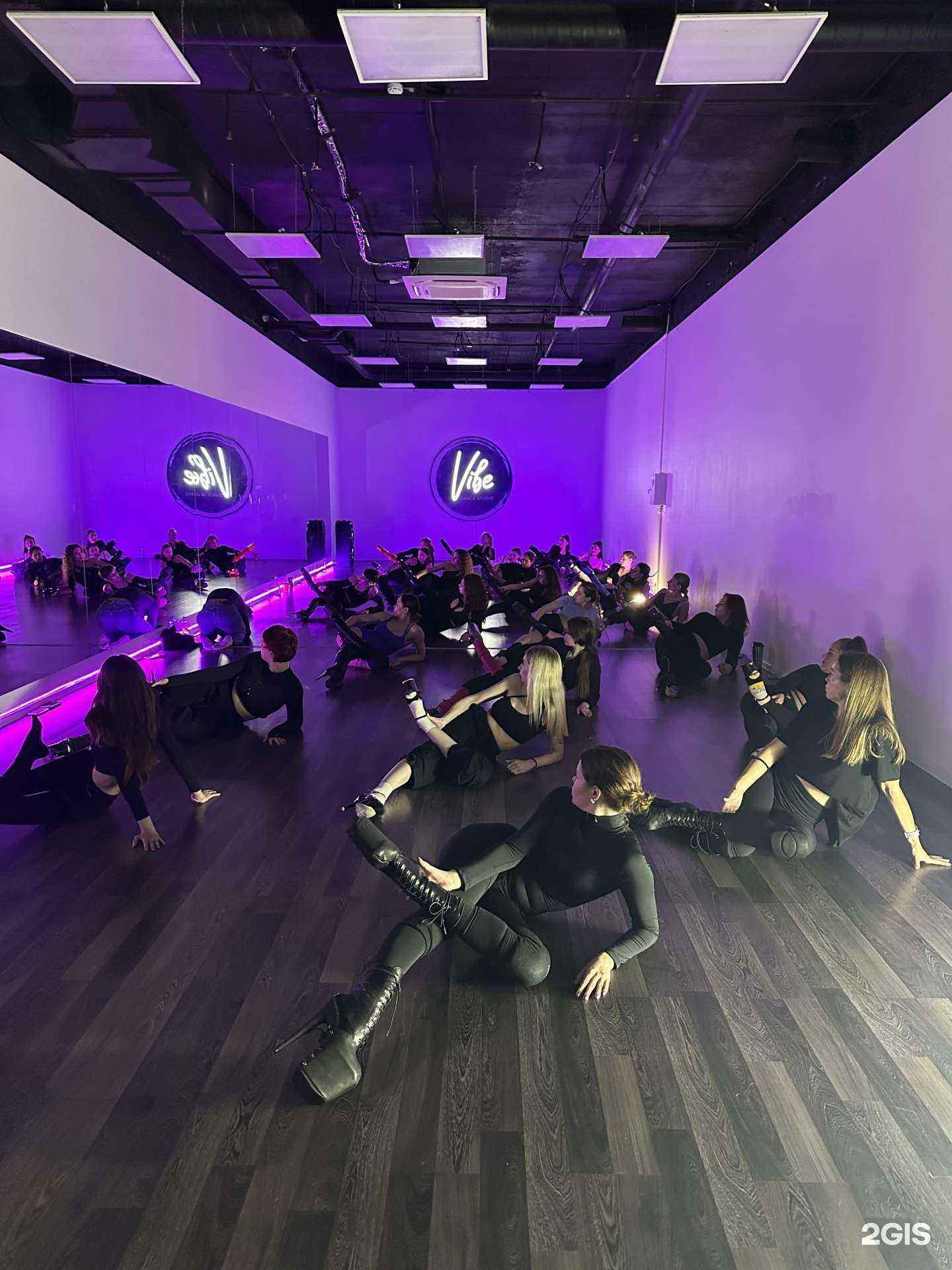 Отзывы на компанию Vibe в Сочи c фото