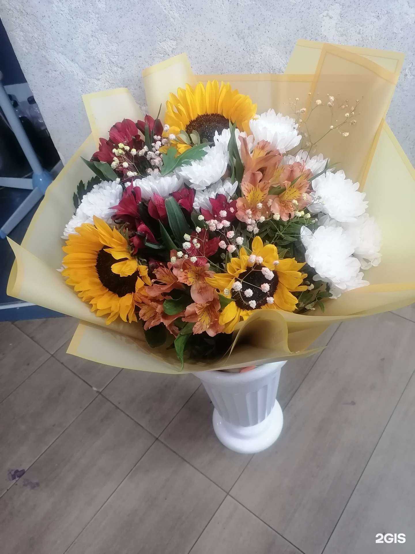 Отзывы на компанию Нимфея в Чите c фото