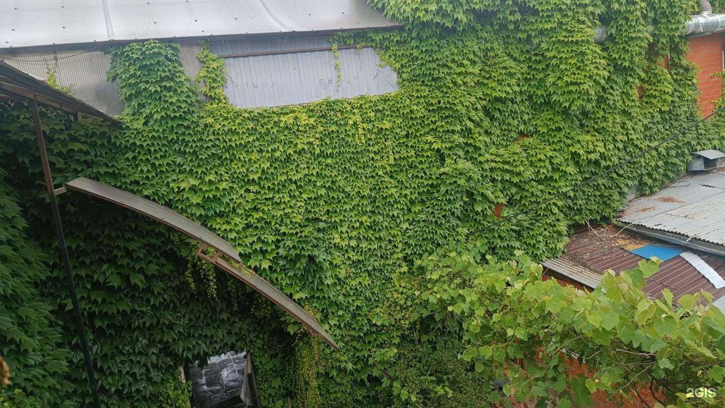 Отзывы на компанию Vitus в Краснодаре c фото