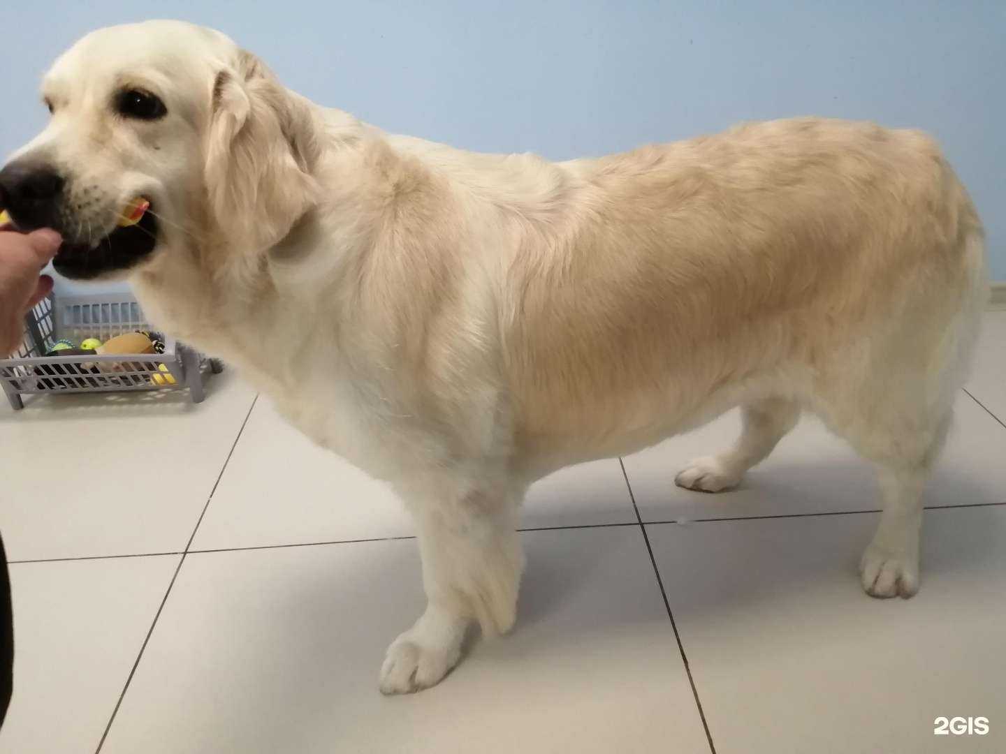 Отзывы на компанию Плюш в Краснодаре c фото