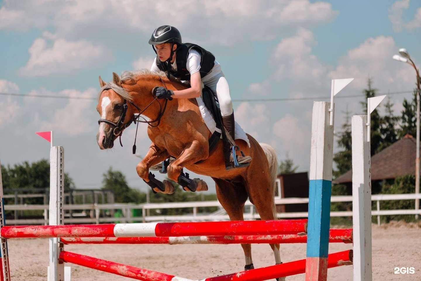 Отзывы на компанию Вольный ветер в Екатеринбурге c фото