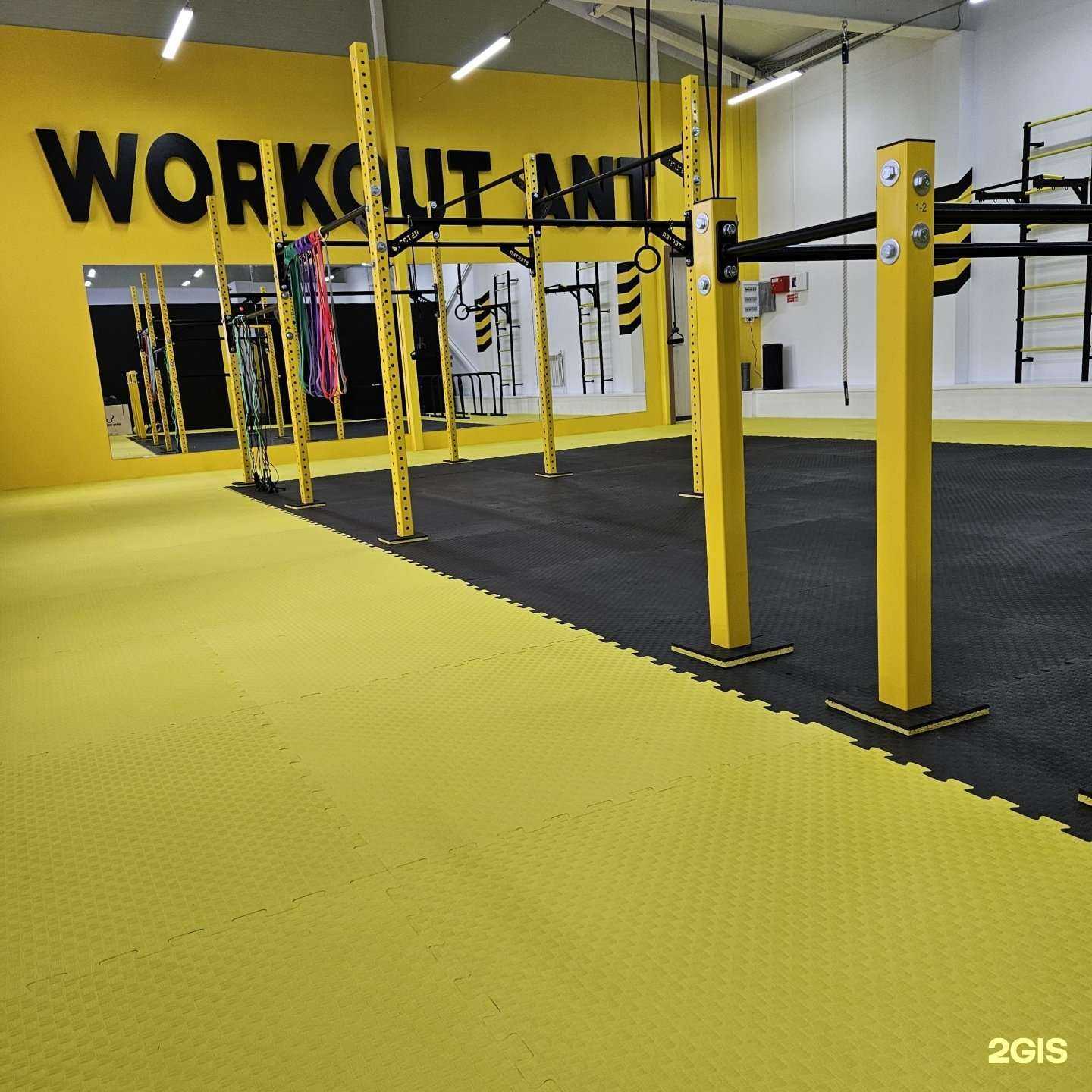 Отзывы на компанию Workout Ant в Владивостоке c фото