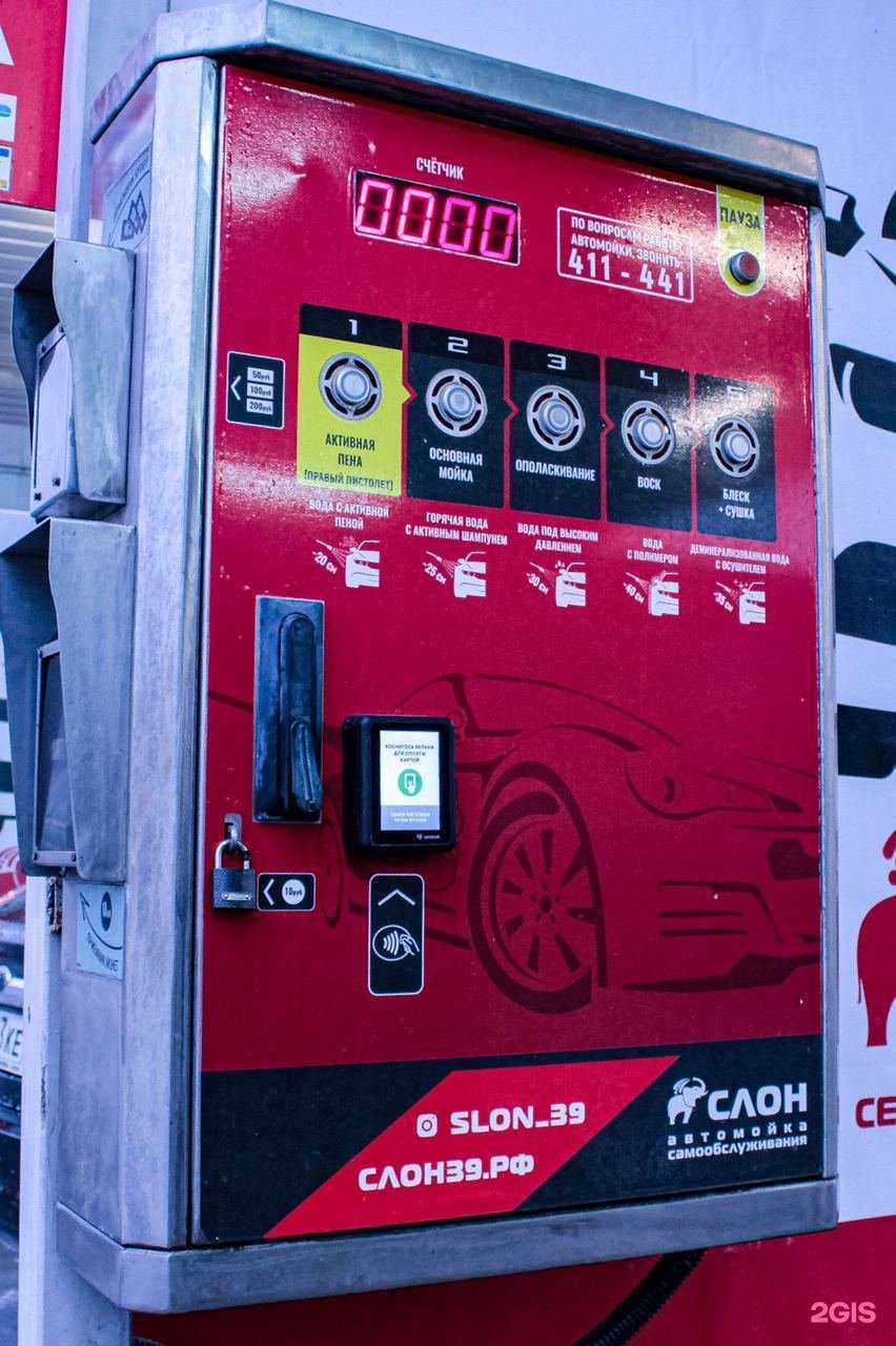 Отзывы на компанию Слон в Калининграде c фото