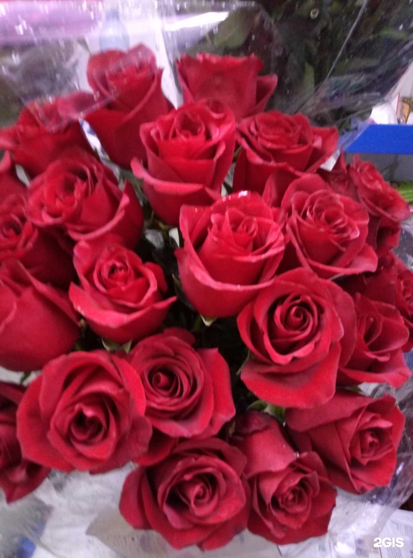 Отзывы на компанию Для себя! в Новосибирске c фото