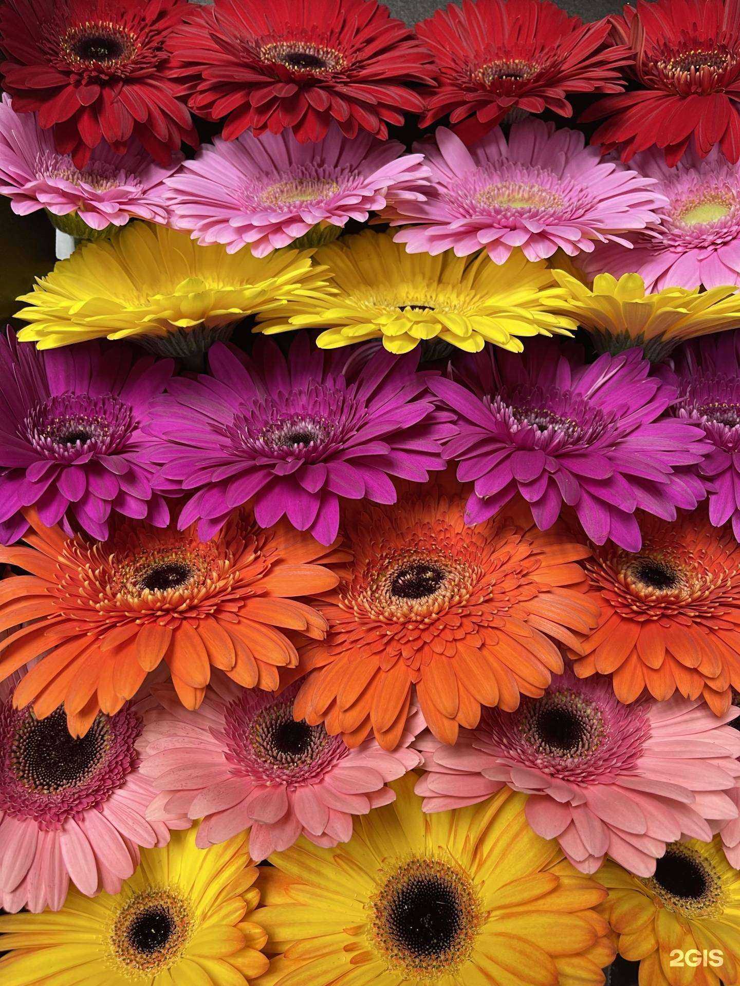 Отзывы на компанию Любимый Букет в г. Красноярск c фото