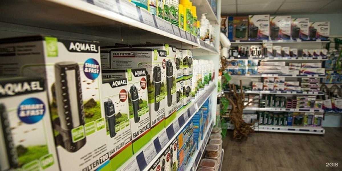 Отзывы на компанию Fish Stream в Ставрополе c фото