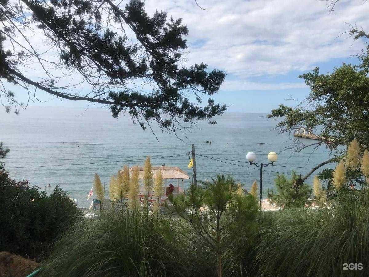 Отзывы на компанию Joy apartments в Сочи c фото