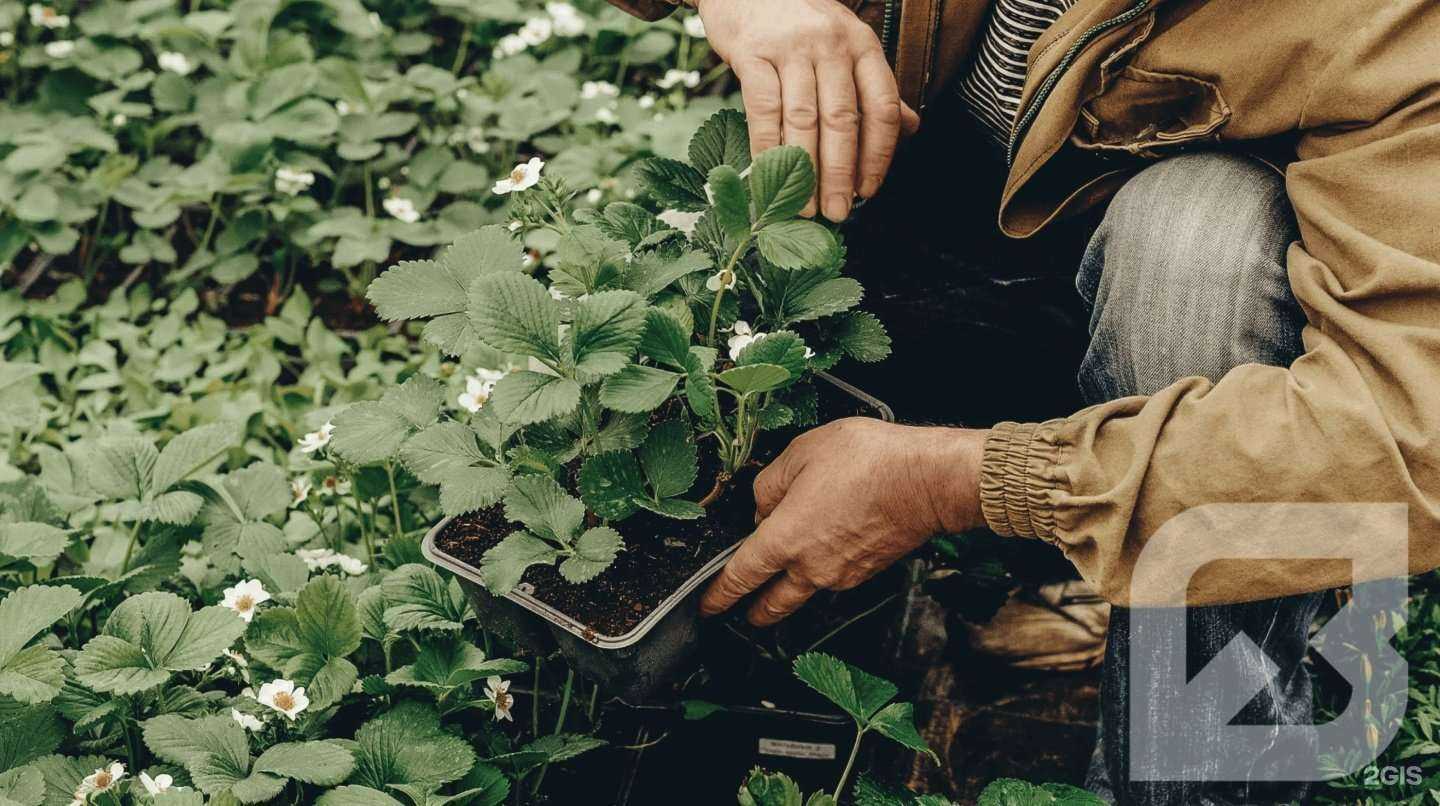 Отзывы на компанию Ваганов в г. Кострома c фото