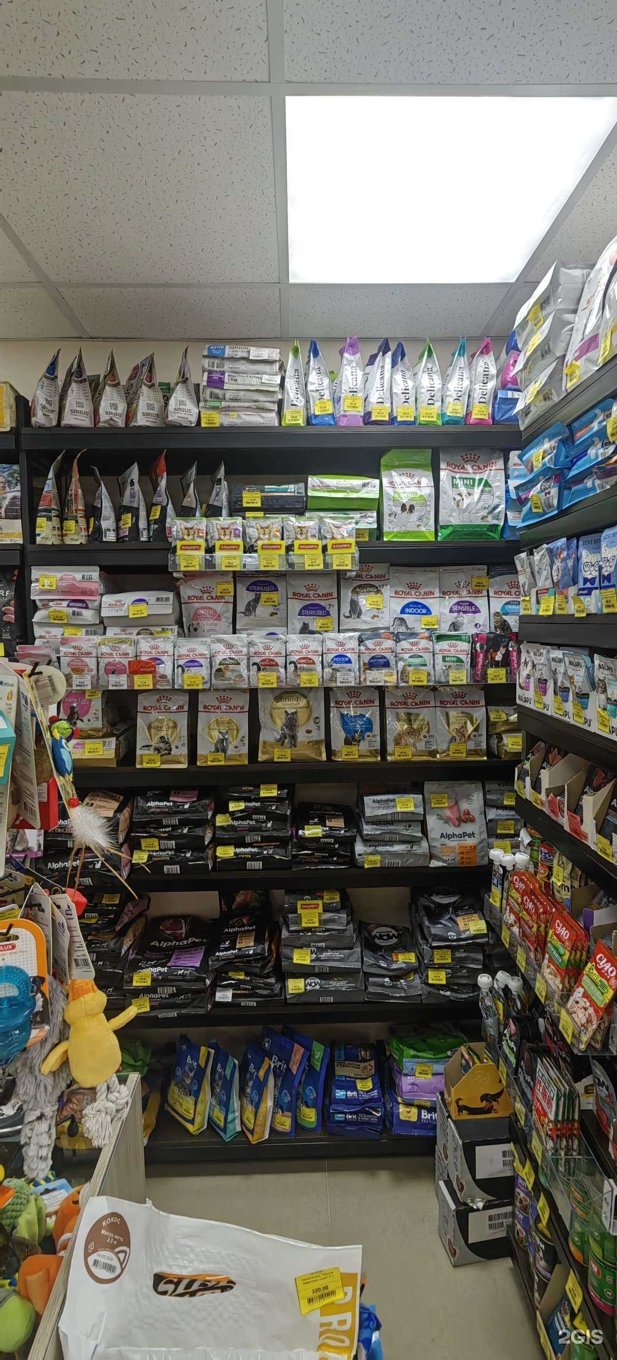 Отзывы на компанию Zookids в Тюмени c фото