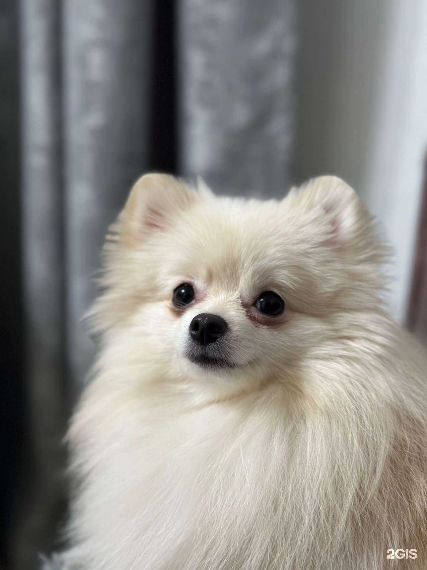 Отзывы на компанию Barberdog_zln в Зеленодольске c фото