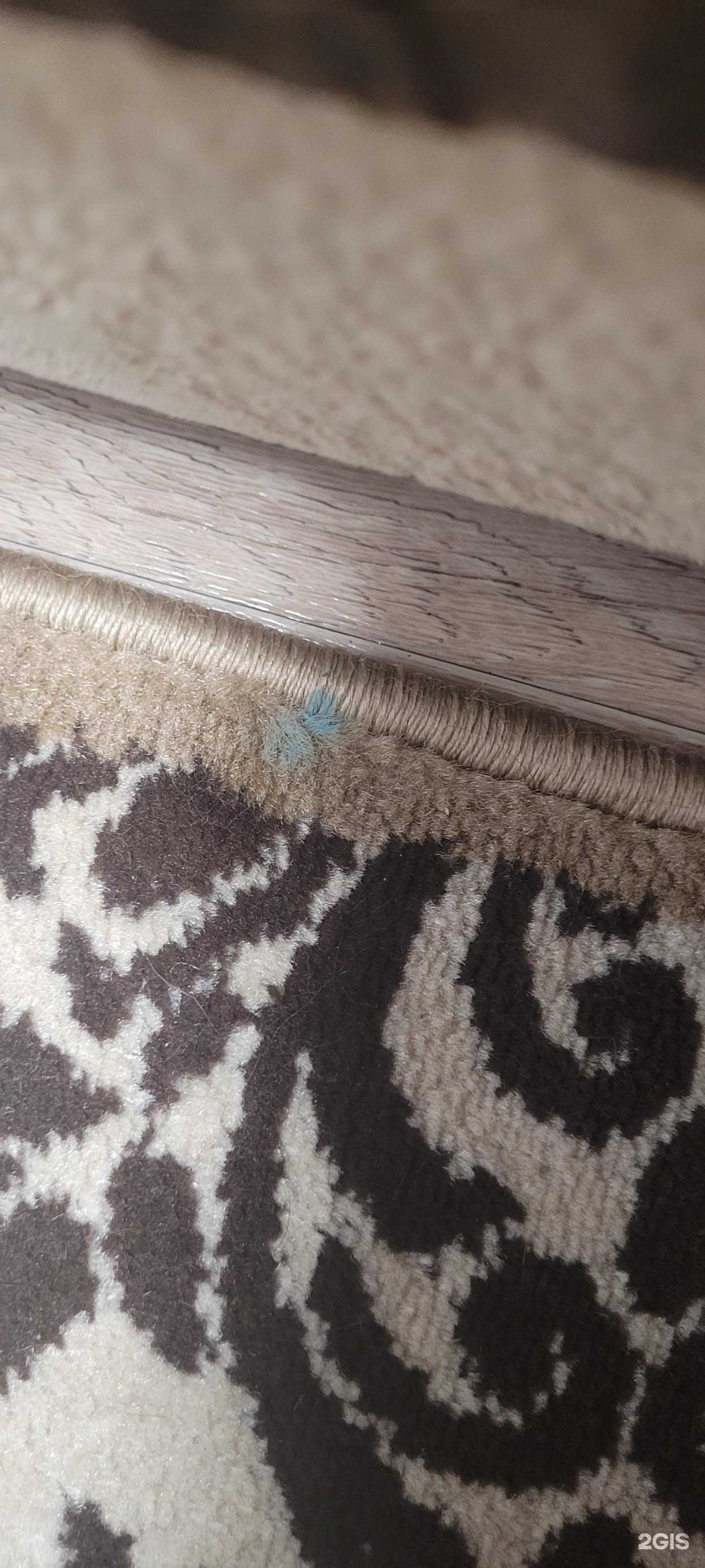 Отзывы на компанию Мой Ковер в г. Пенза c фото