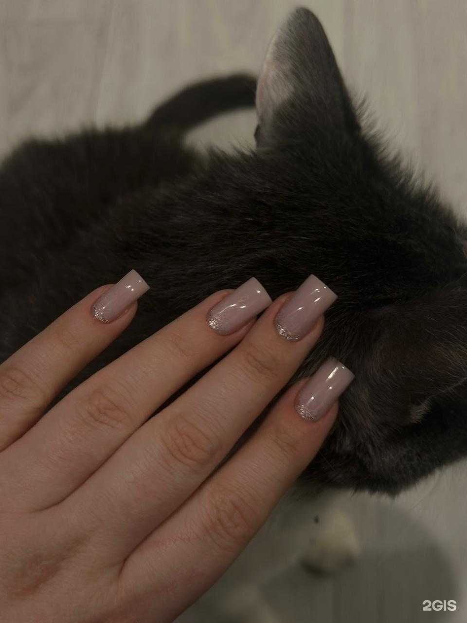 Отзывы на компанию Lakky в Новосибирске c фото