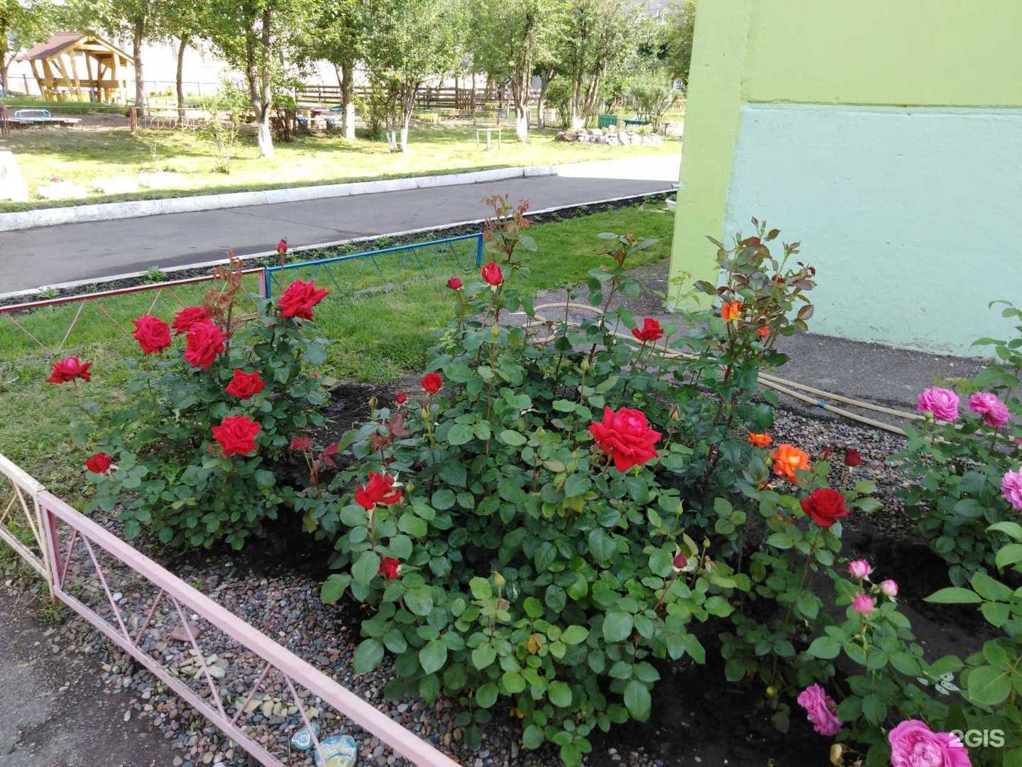 Отзывы на компанию Детский сад №213 в г. Красноярск c фото