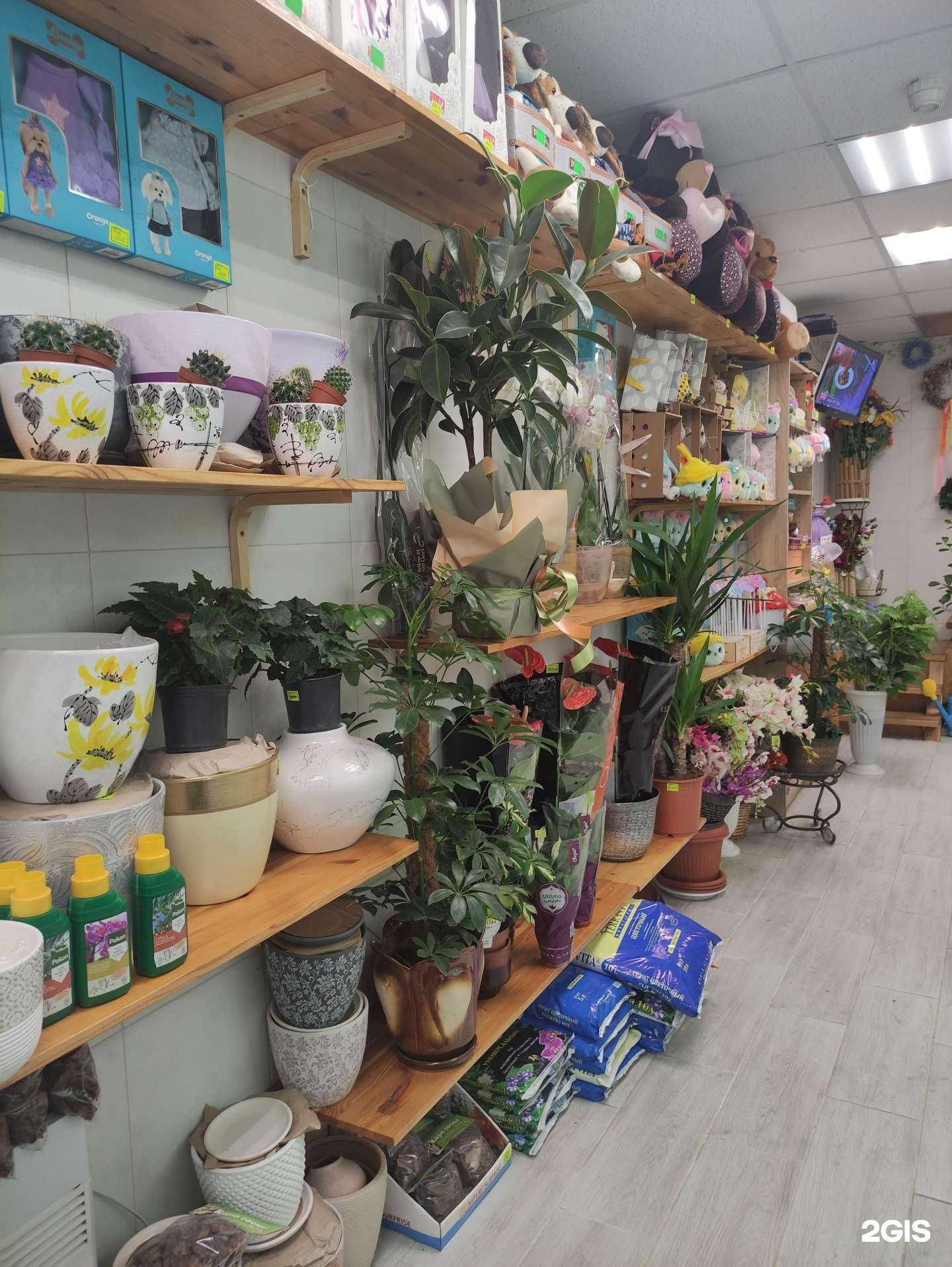 Отзывы на компанию Салон цветов в Бронницах c фото