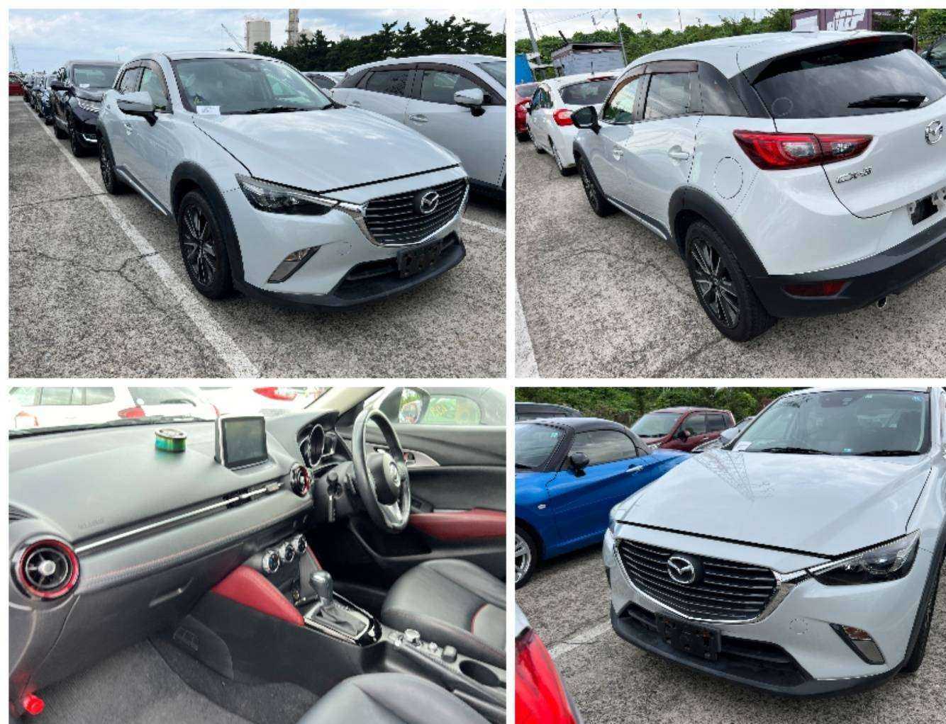 Отзывы на компанию Dream Bid в г. Владивосток c фото