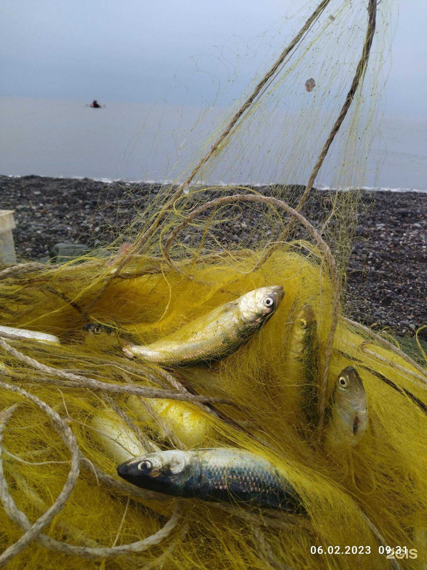 Отзывы на компанию Монеро в Сочи c фото