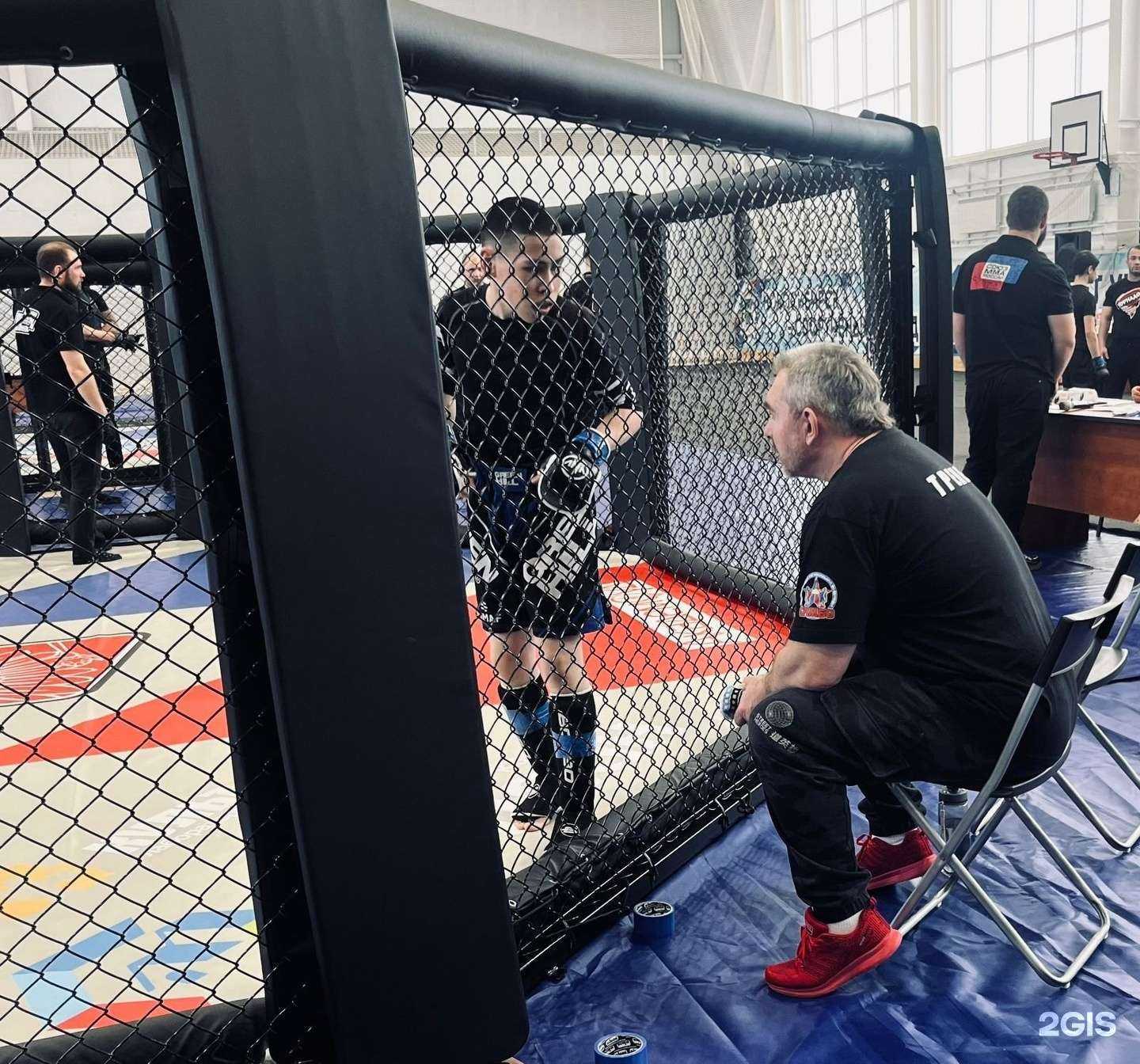 Отзывы на компанию Viktor Team в Новосибирске c фото