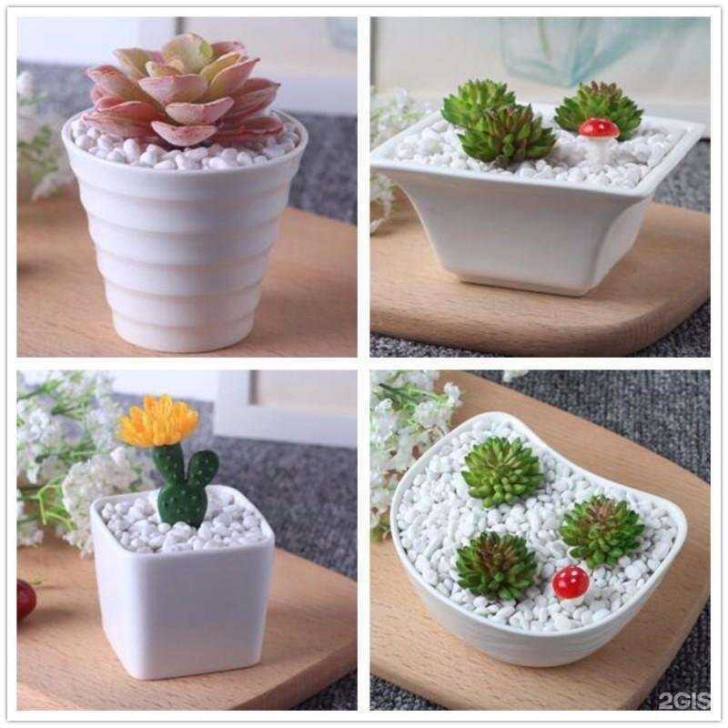 Отзывы на компанию Династия в Ярославле c фото