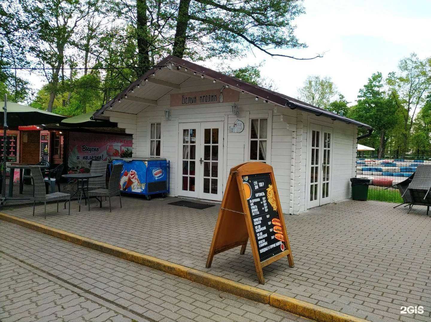 Отзывы на компанию Белый кролик в Калининграде c фото - фотография 2 из 2