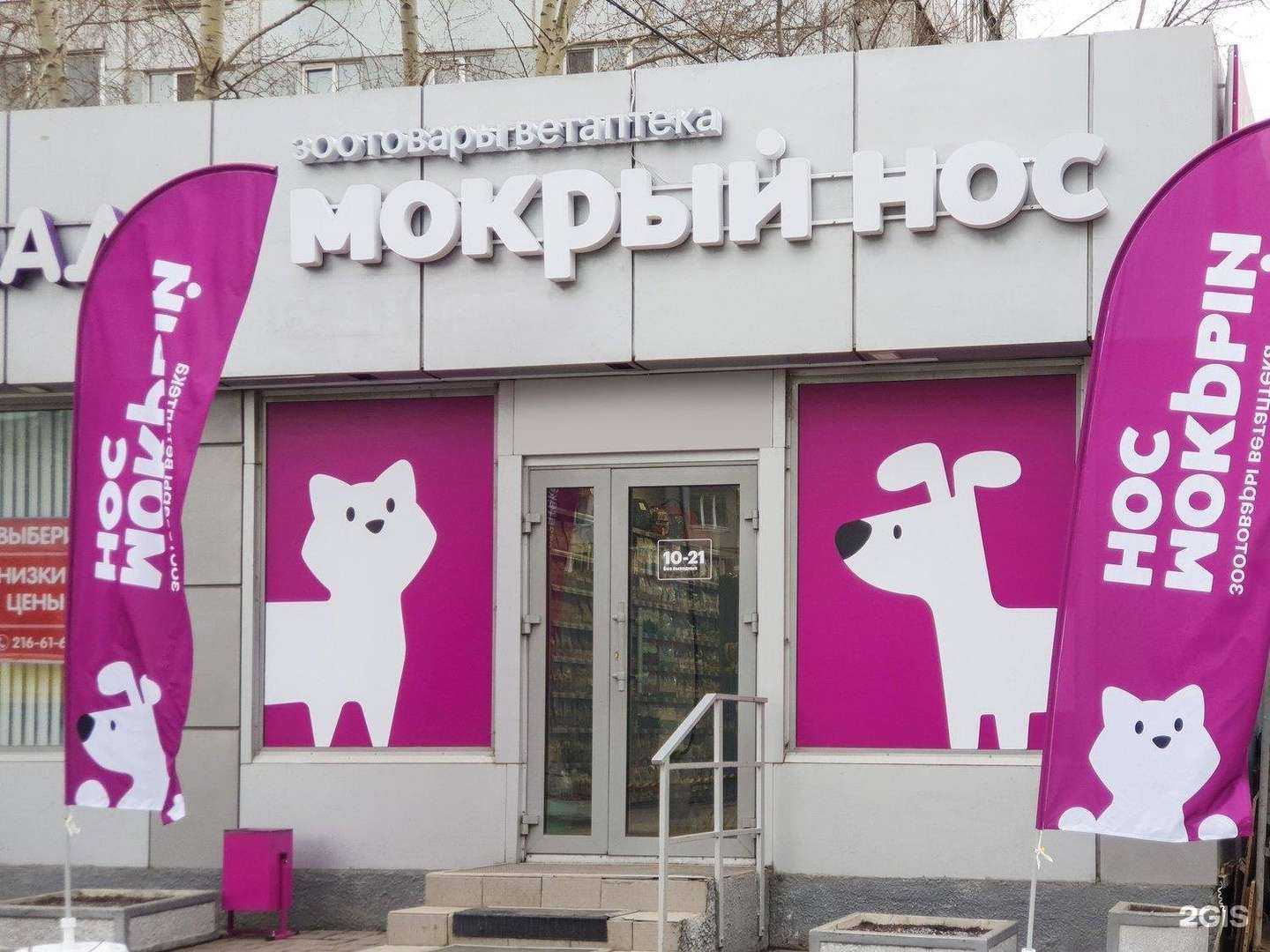 Отзывы на компанию Мокрый нос в Красноярске c фото