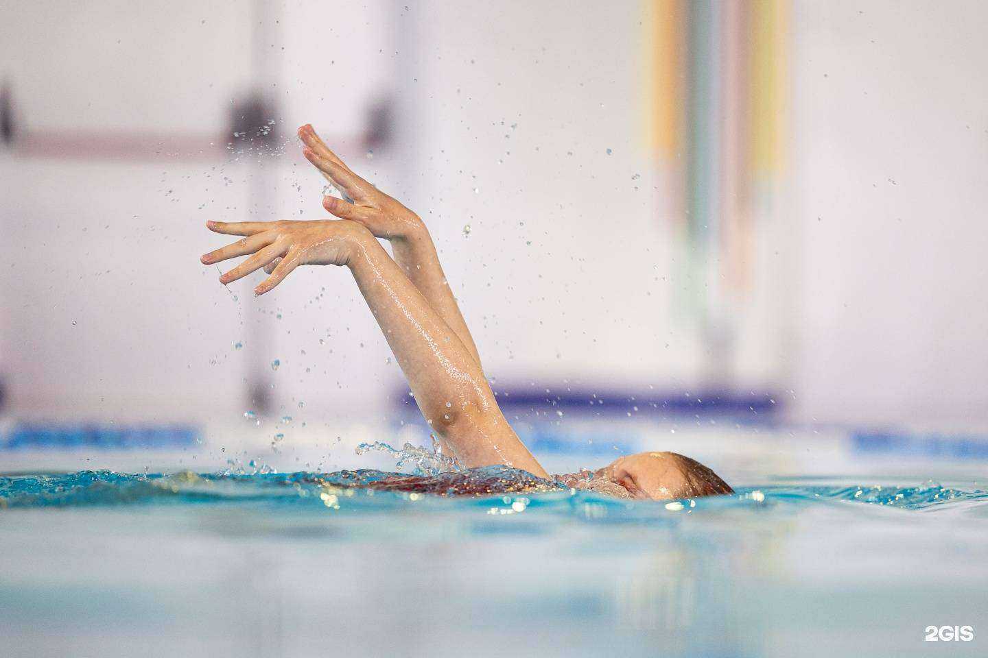 Отзывы на компанию Фламинго в г. Челябинск c фото