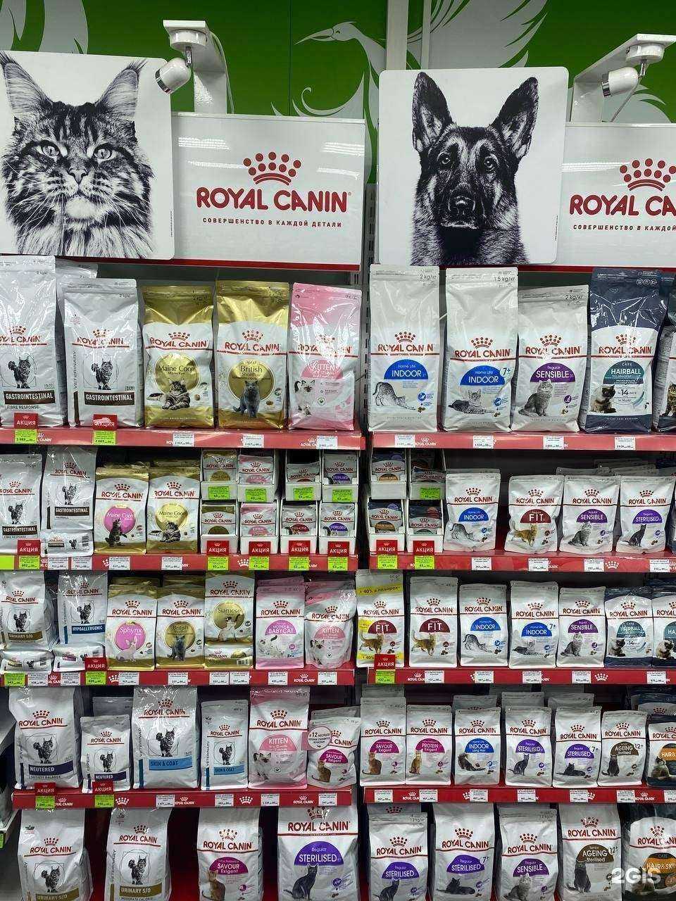 Отзывы на компанию Птичка в Ярославле c фото