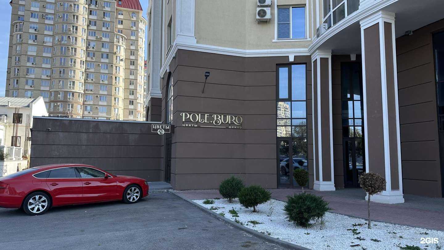 Отзывы на компанию Pole.Buro в Волгограде c фото
