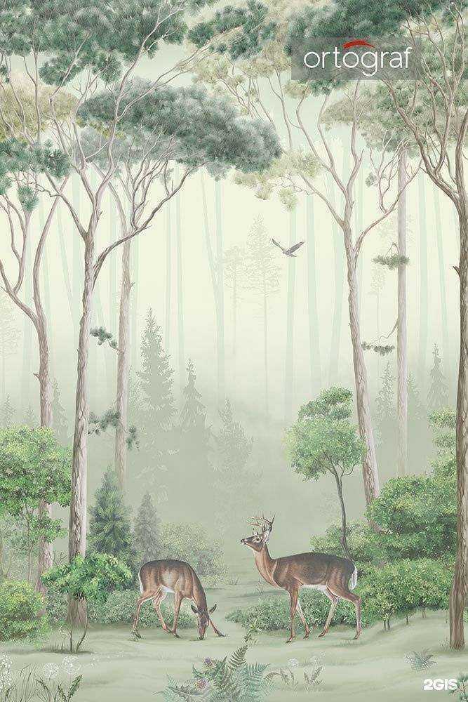 Отзывы на компанию Бонтон в г. Бийск c фото