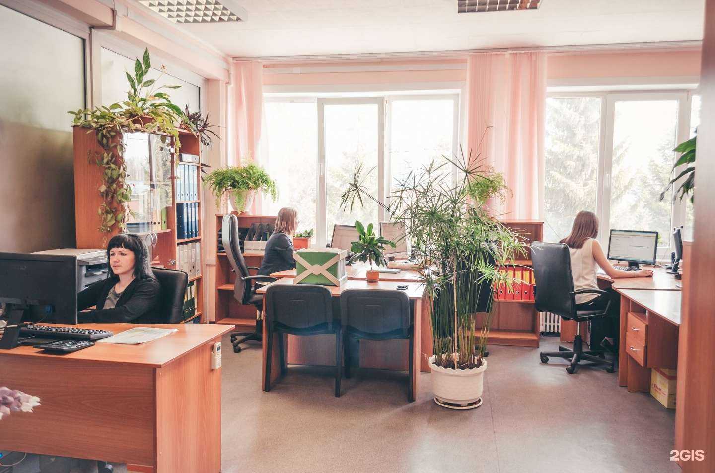 Отзывы на компанию Перспектива в г. Новосибирск c фото