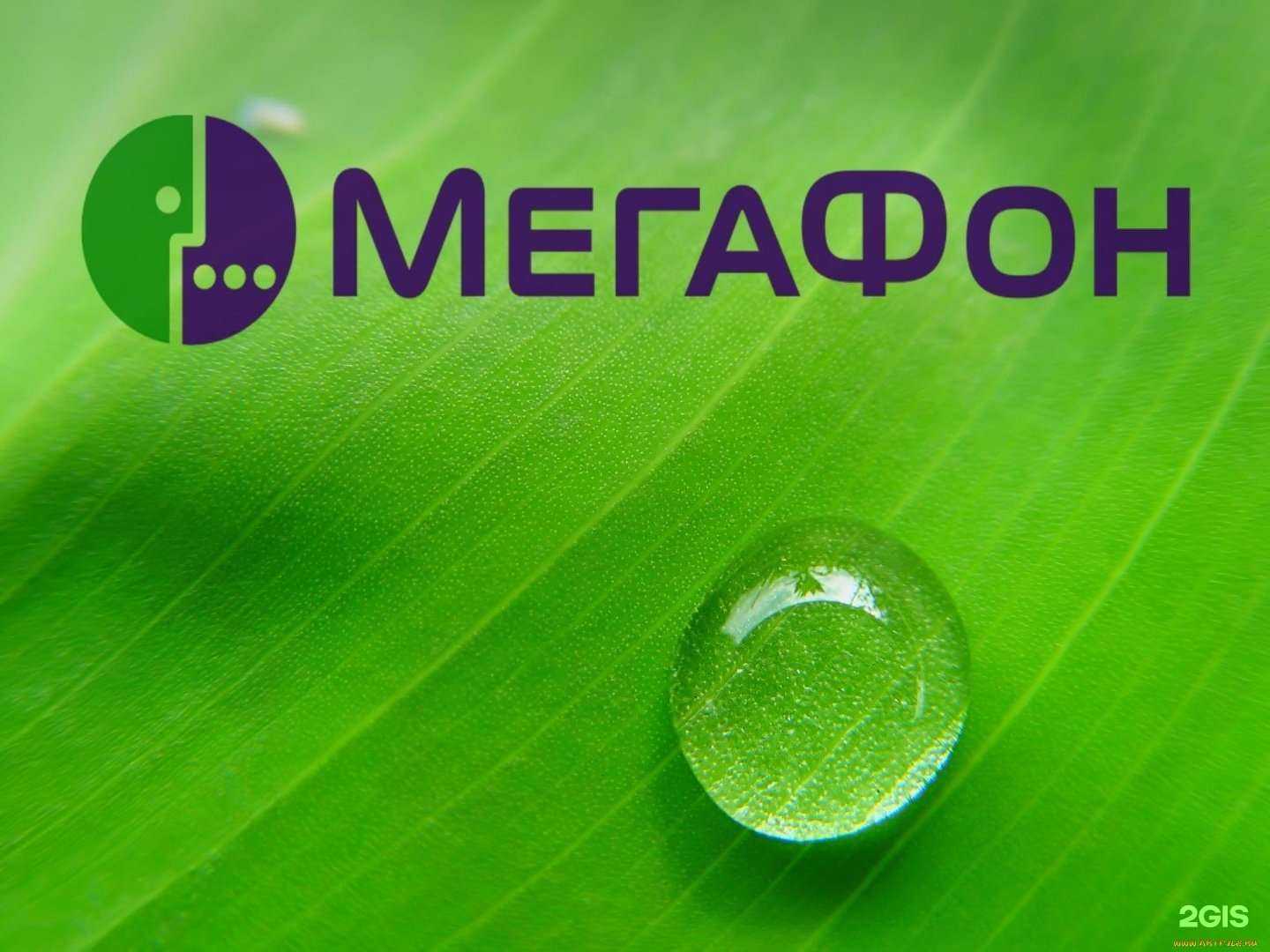 Отзывы на компанию МегаФон-Yota в г. Барнаул c фото