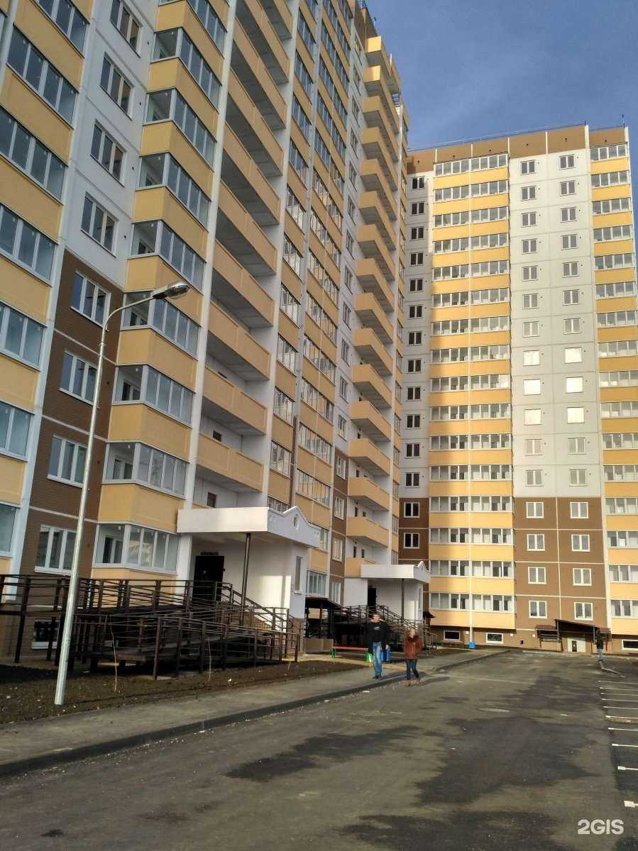 Отзывы на компанию Счастливая морда на Гидрострое в Краснодаре c фото - фотография 2 из 2