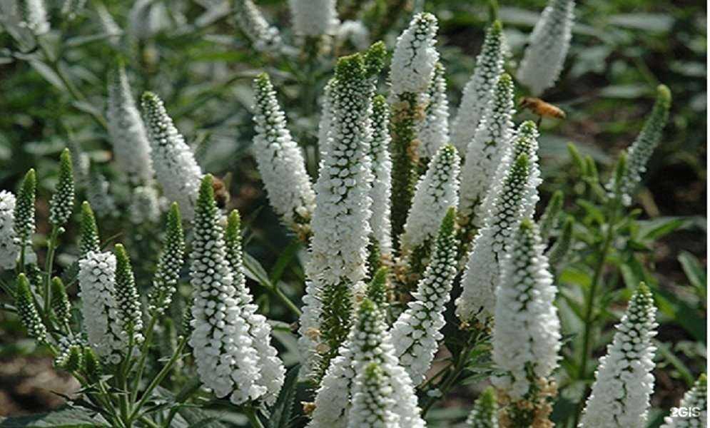 Отзывы на компанию Агро-Ярко в Иркутске c фото