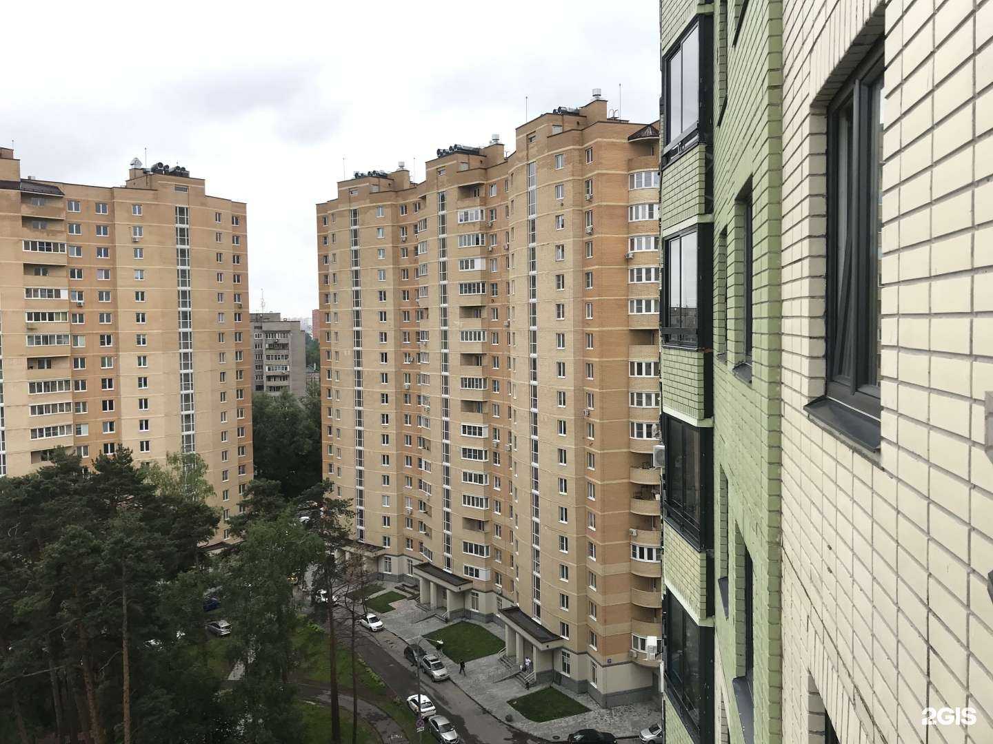 Отзывы на компанию Лолли Шоу в Королёве c фото