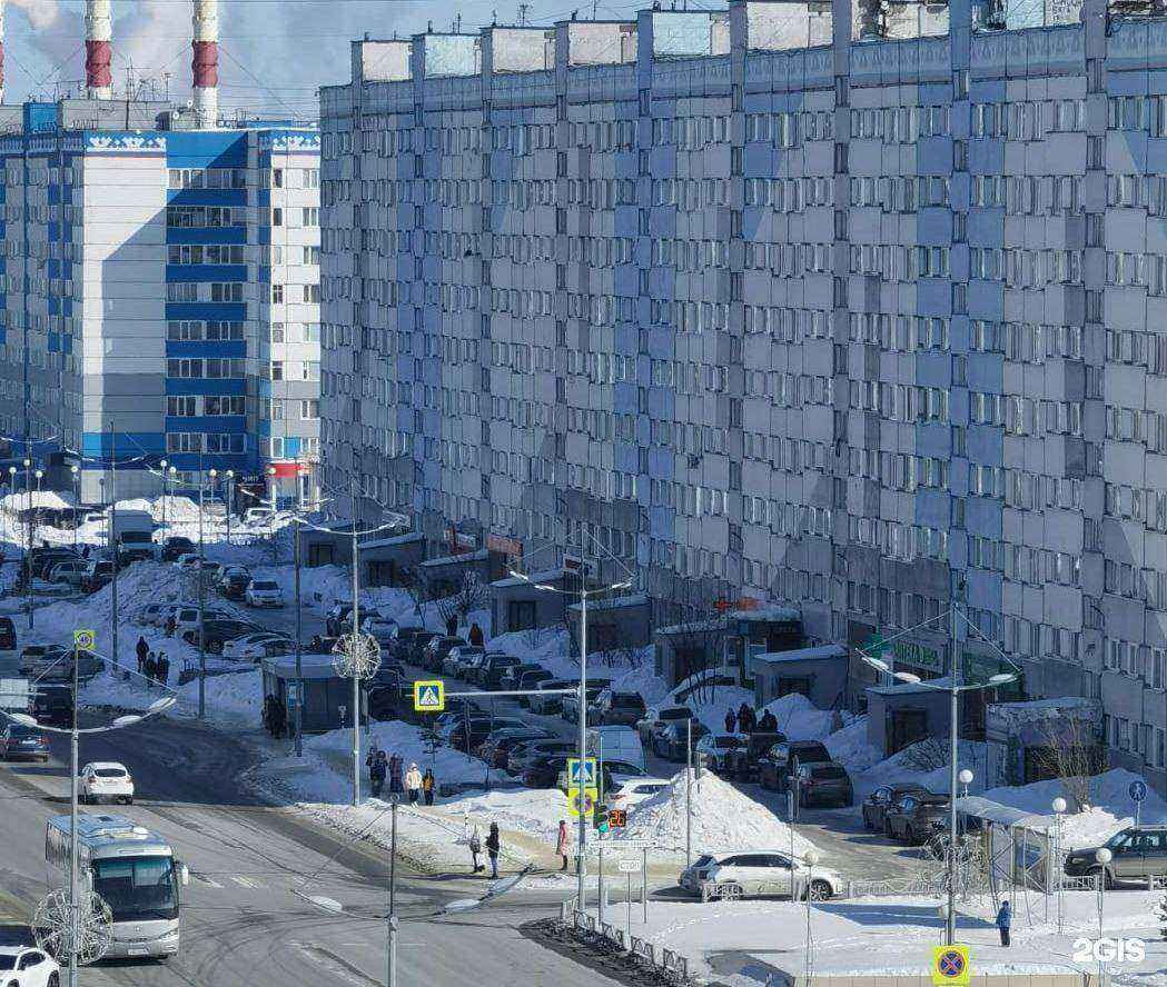 Отзывы на компанию Кактус в Новом Уренгое c фото - фотография 2 из 2