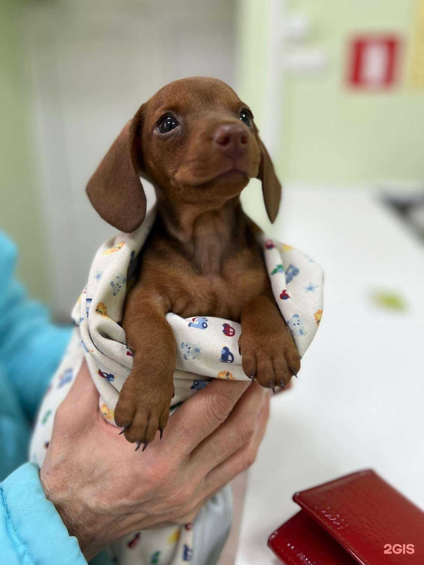 Отзывы на компанию Неболит в Самаре c фото